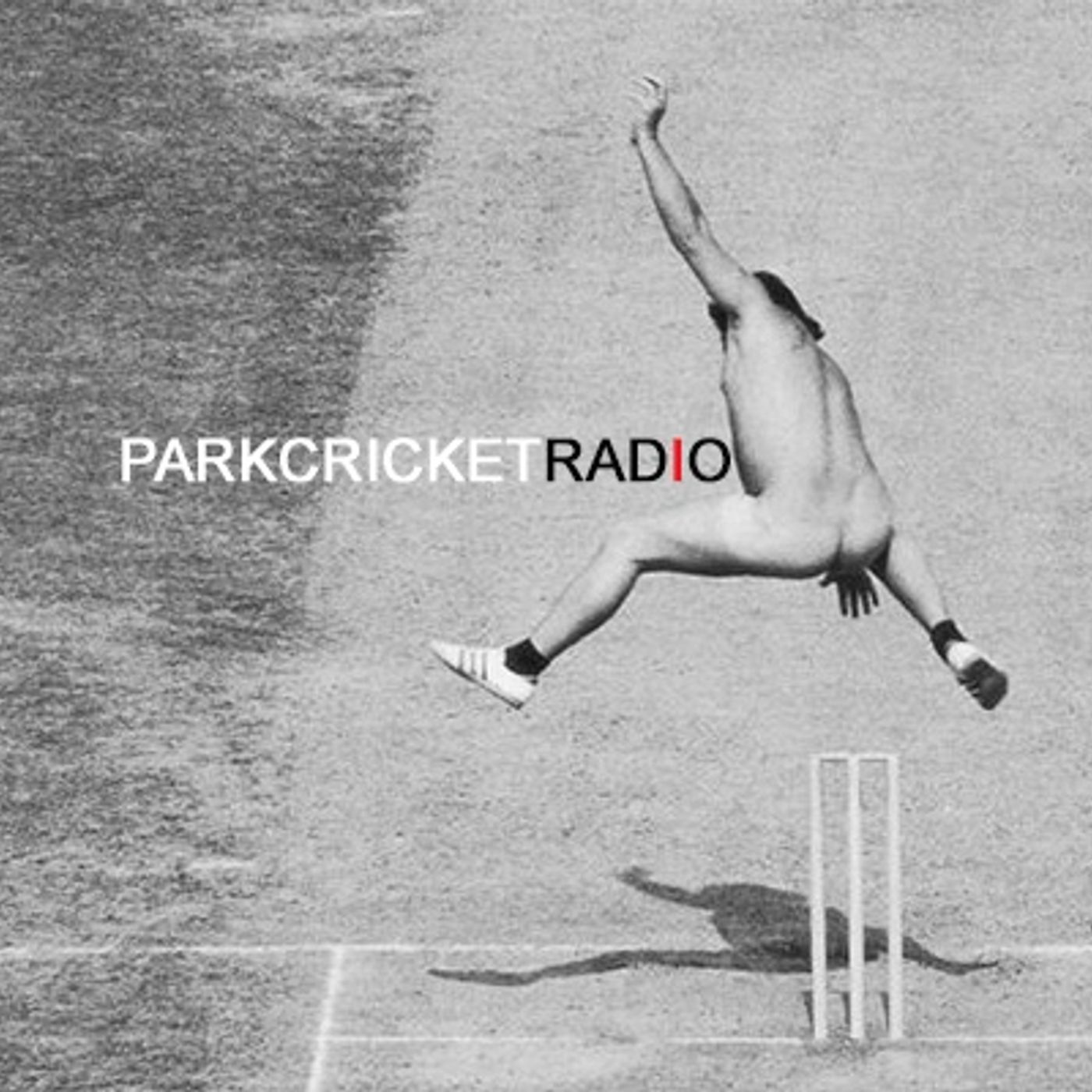 Park Cricket Radio Ashes 2015