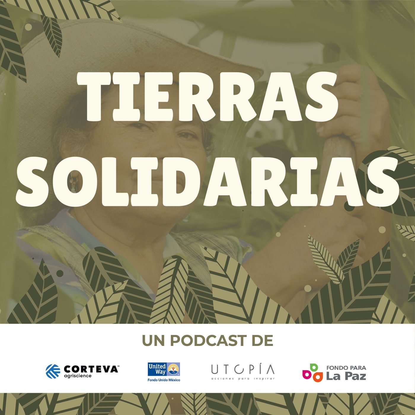 Tierras Solidarias
