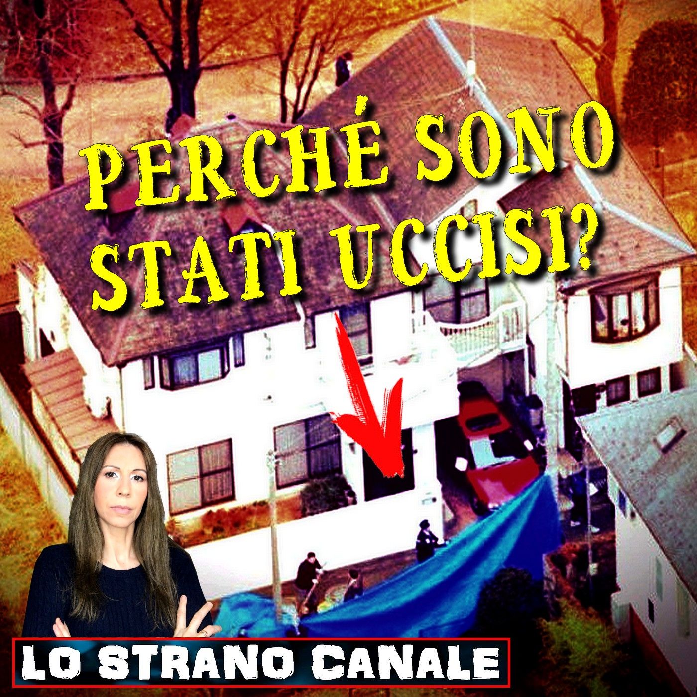 UNA FAMIGLIA ANNIENTATA - I delitti di Setagaya (Lo Strano Canale Podcast) episode artwork