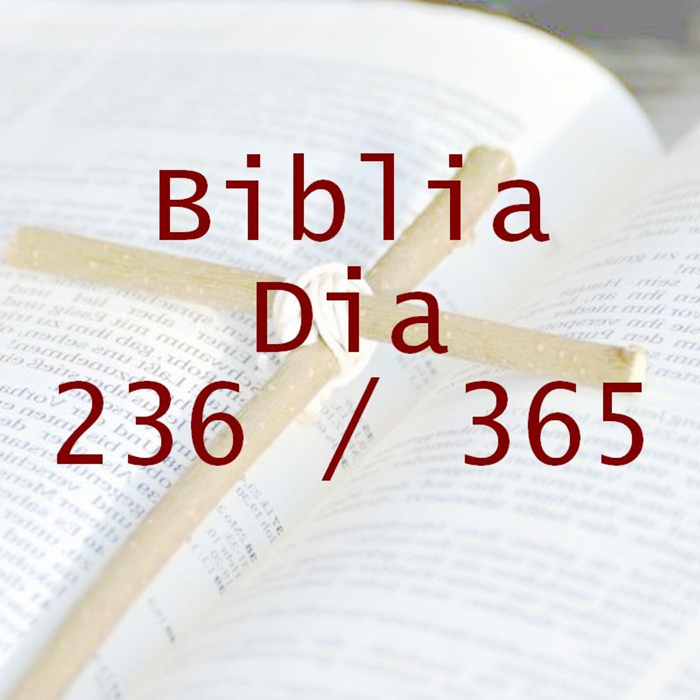 La Biblia en 365 dias