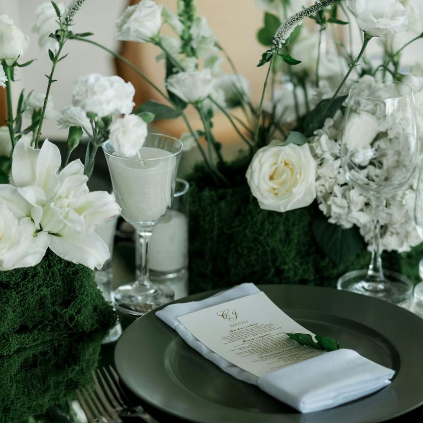 Portada de ESTEFANÍA ISAÍAS- TU BODA PERFECTA