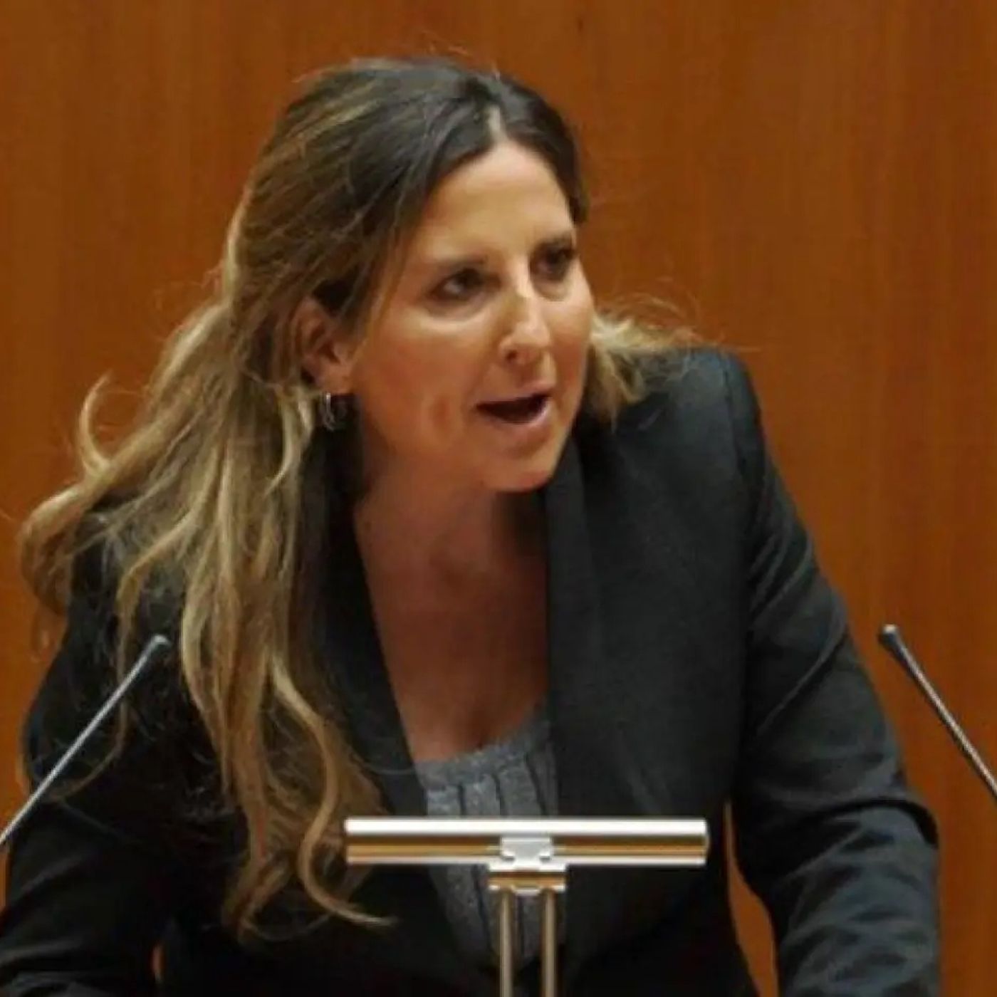 Ana R. Hernando: "Han convertido un proyecto esperanzador en algo sin sentido común que solo mira por su interés propio"