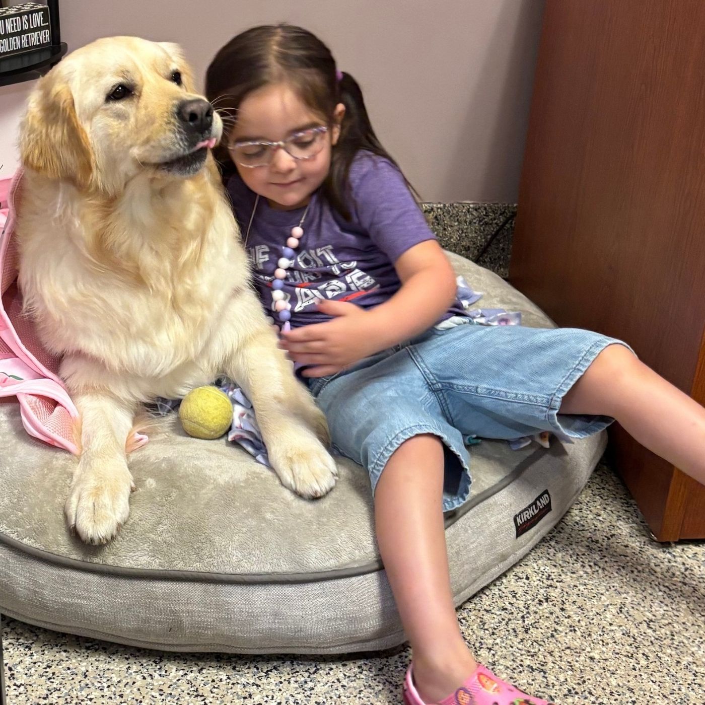 Service animals allow individuals with  disabilities freedom and independence - Part 2 episode artwork