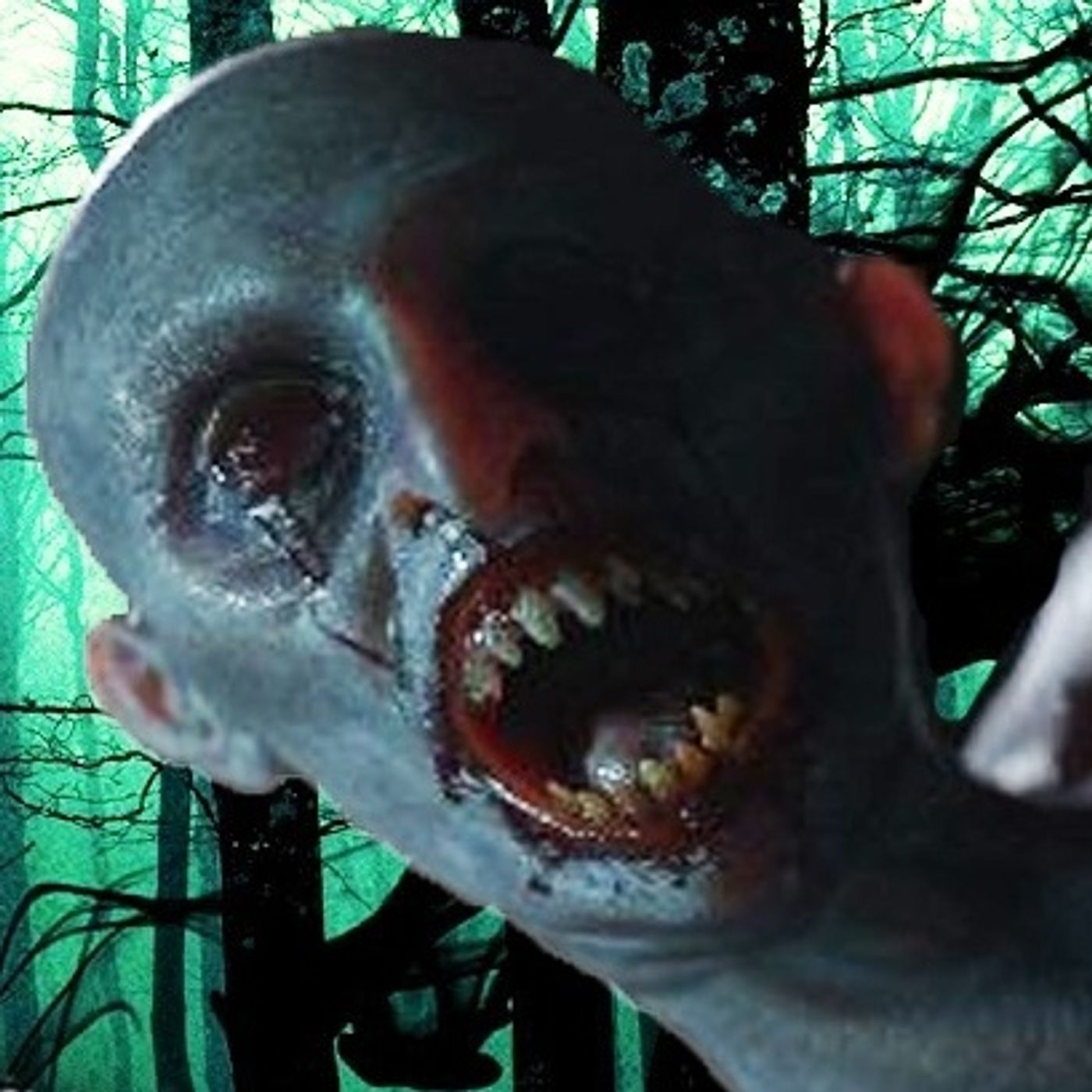 Recopilación De Bosques #2 Historias De Terror - REDE