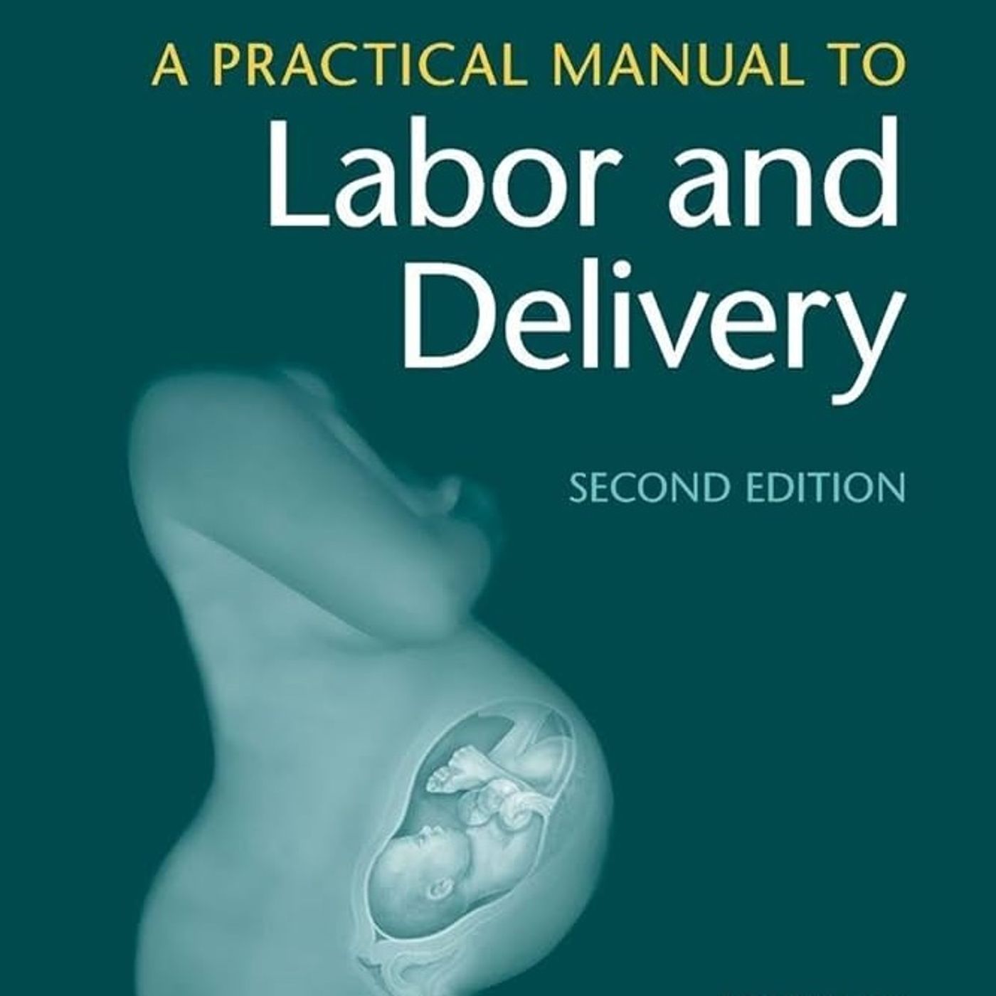 A Practical Manual to Labor and Delivery