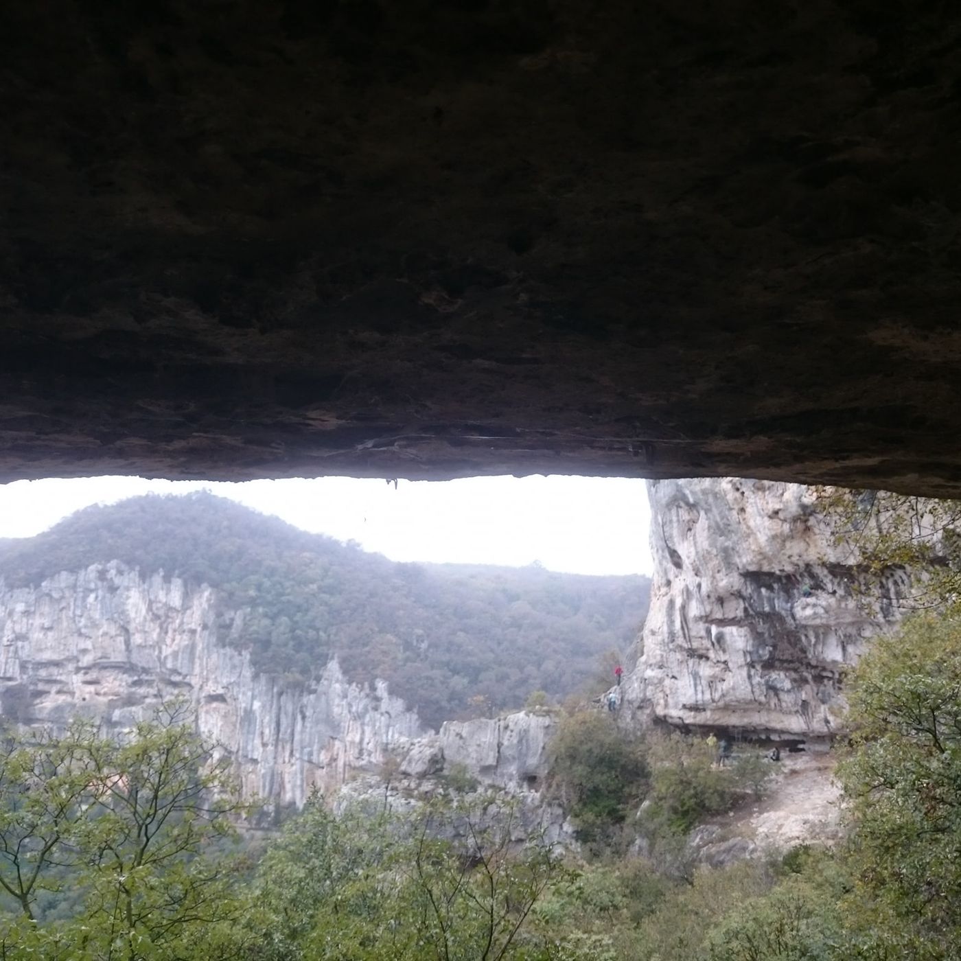 Paura a Lumignano: freeclimber cade in falesia, soccorso alpino in azione Paura a Lumignano: freeclimber cade in falesia, soccorso alpino in azione