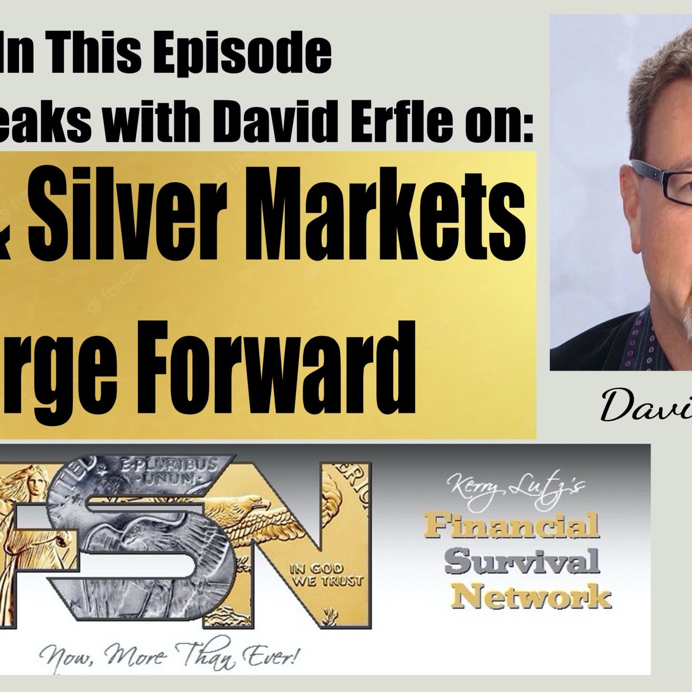 cover of episode Gold and Silver Markets Surge Forward - David Erfle #6173