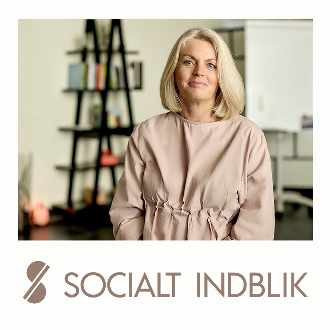 Socialt Indblik