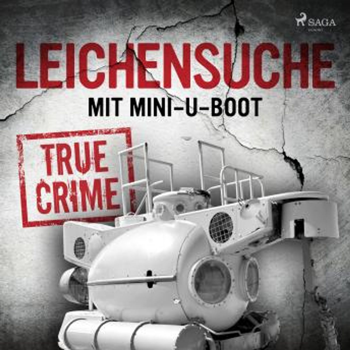 [German] - Leichensuche mit Mini-U-Boot by Anonymous episode artwork