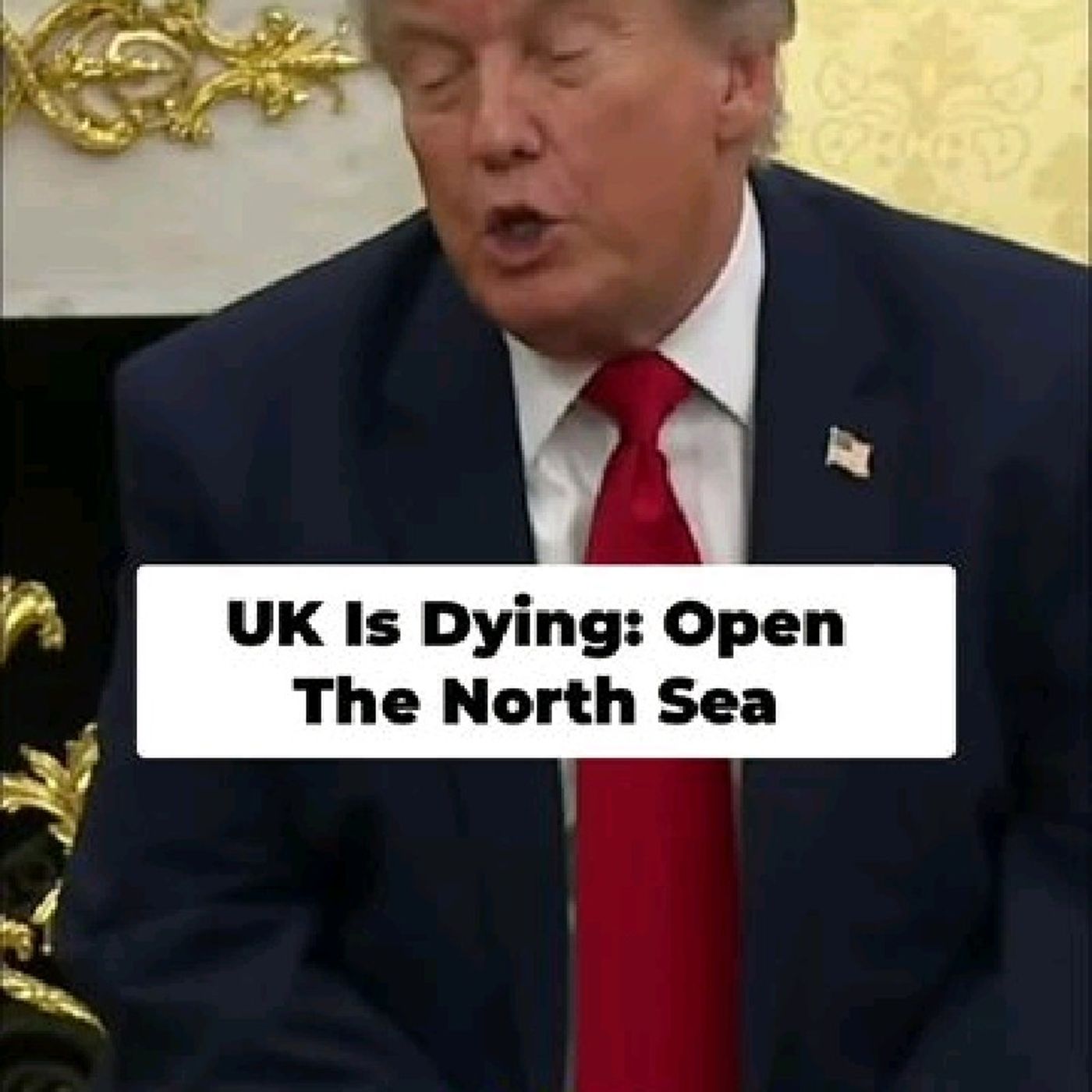 THE UK IS DYING’ Trump takes swipe at Burnham as Starmer exit row grows #donaldtrump #politicalnews #fyp #uknews episode artwork