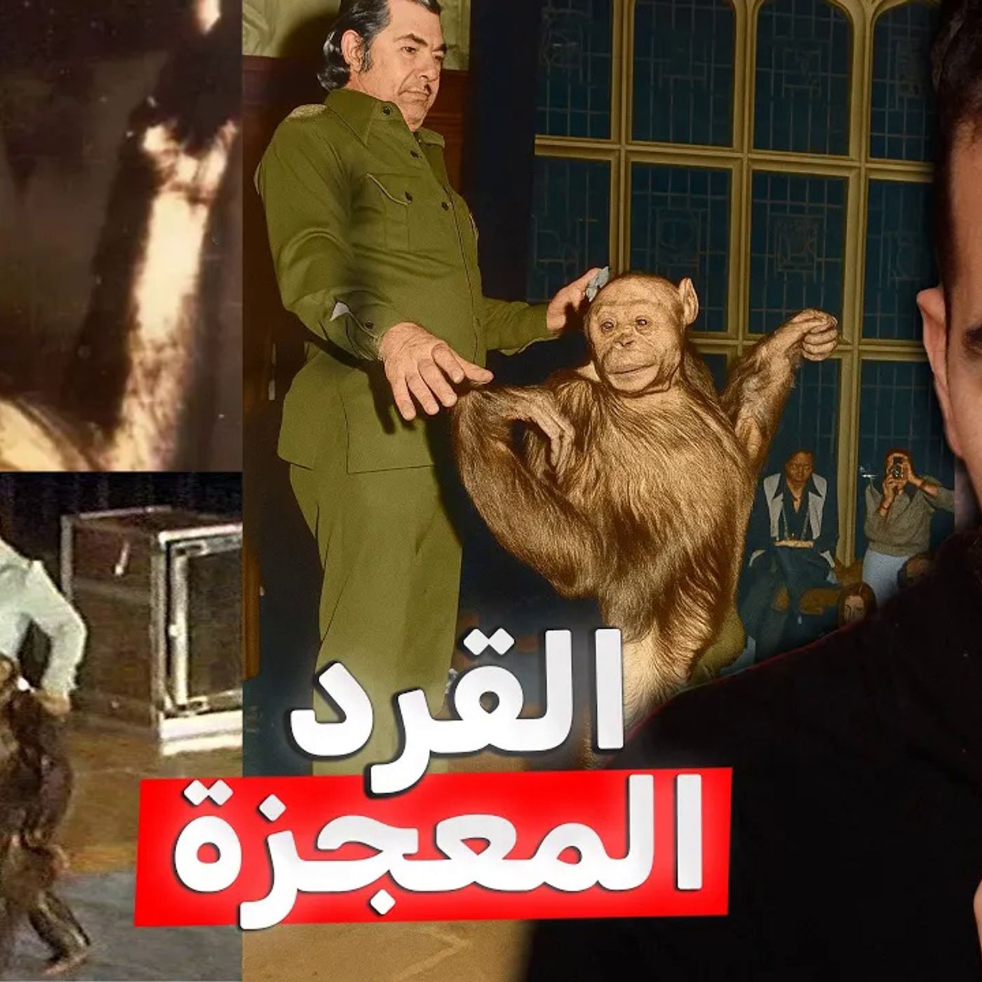 أوليفر - القرد المعجزة الذي حير العلماء 50 سنة أوليفر - القرد المعجزة الذي حير العلماء 50 سنة