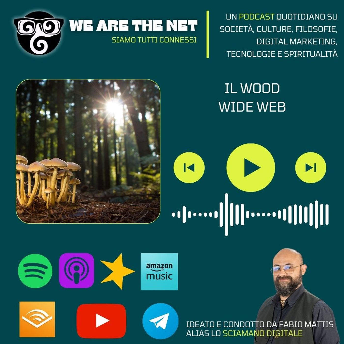 Il Wood Wide Web