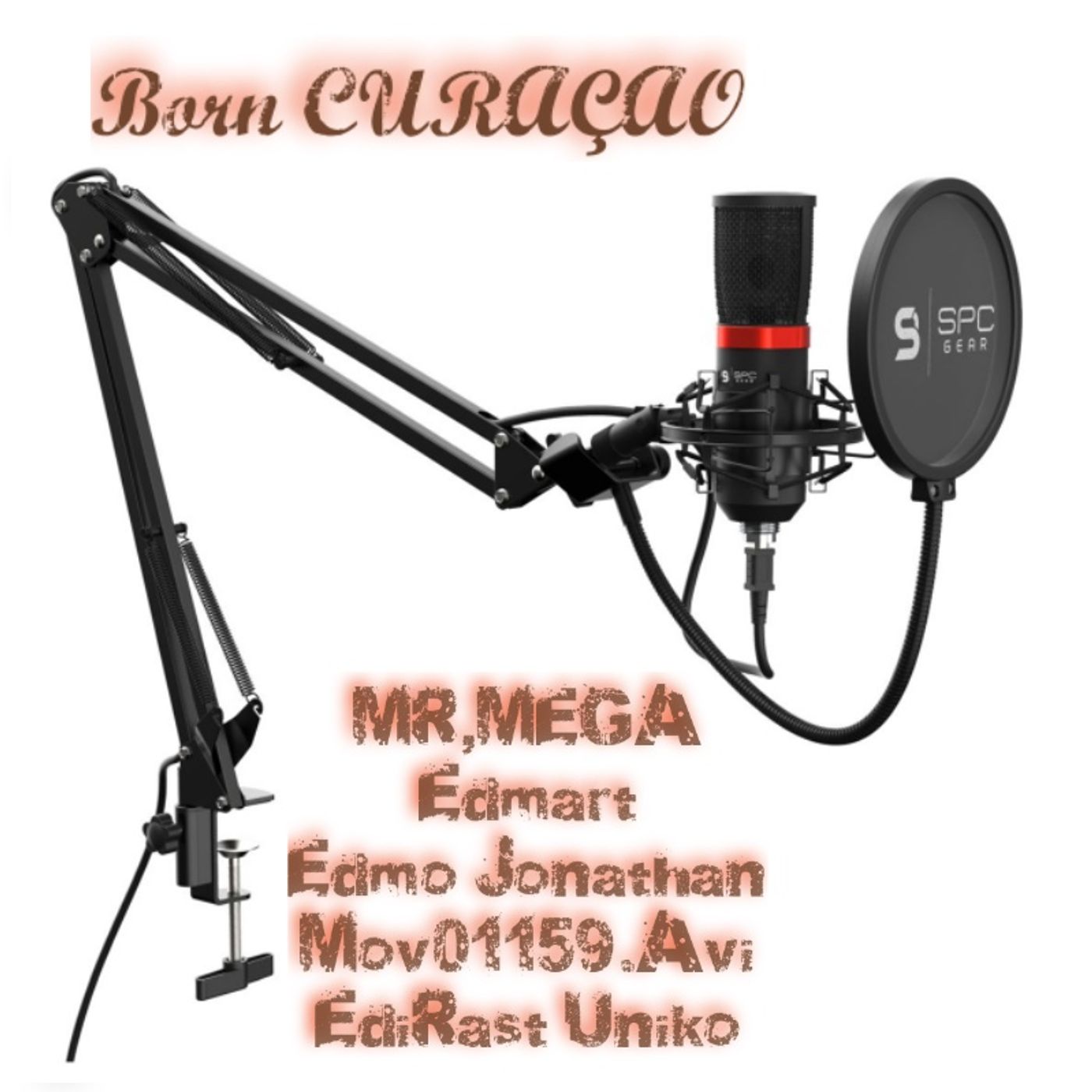 Podcast Image