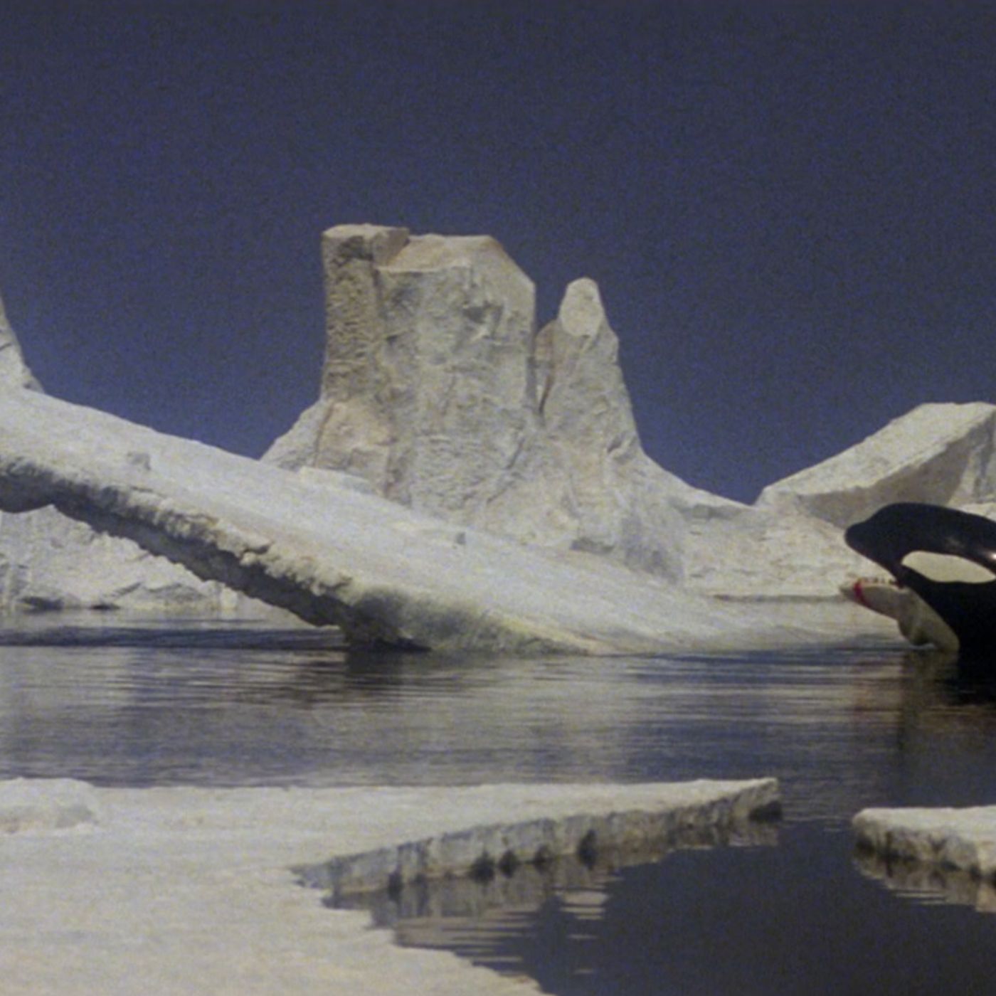 'Orca. La Ballena Asesina', la película que nos traumatizó es mejor de lo que piensas episode artwork