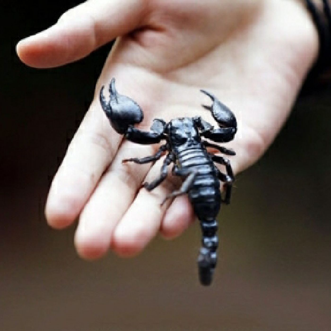 Reflexiones De Restauracion Para Tu Alma