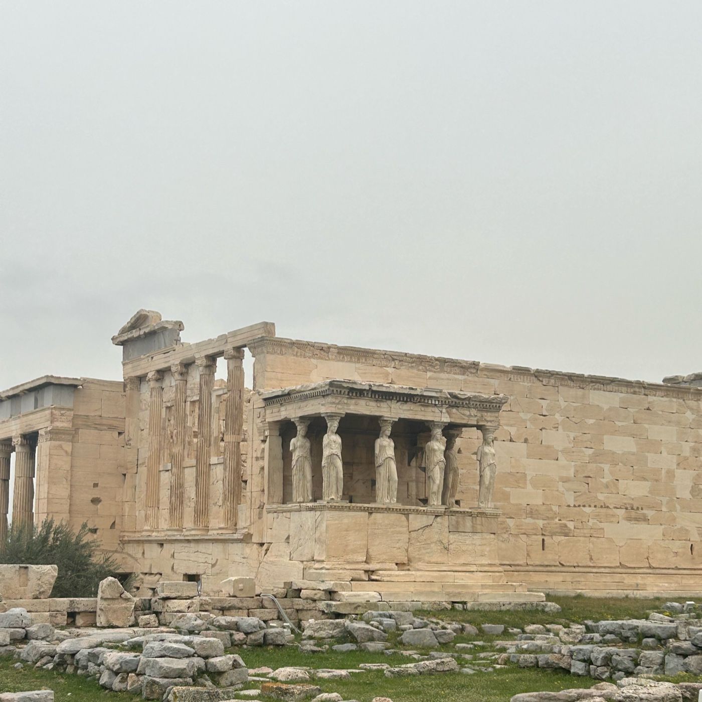 WoTH Revision cover art