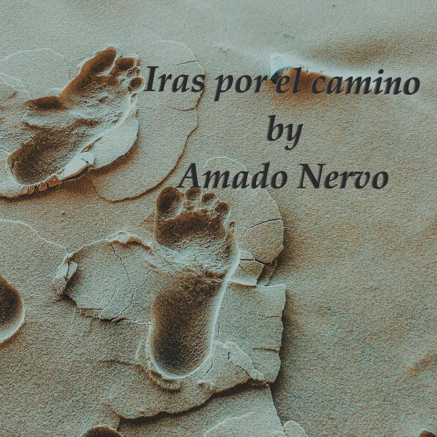 Narraciones De Un BURRO by Walter Saravia