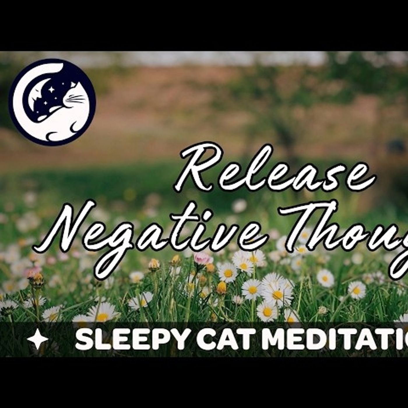 Let Go Of Negative Thoughts (Guided Meditation) - Sleepy Cat Meditations episode artwork