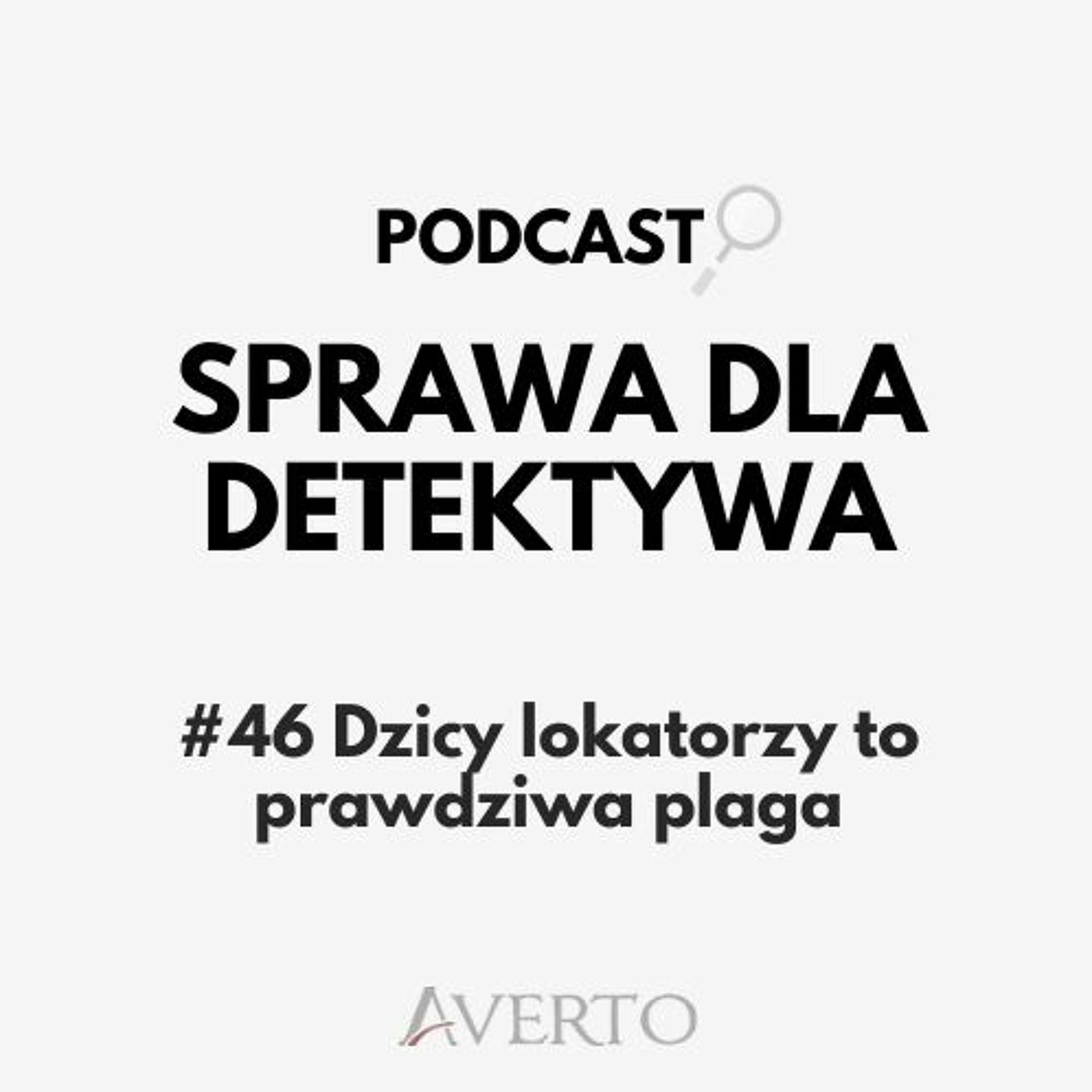 Sprawa dla detektywa