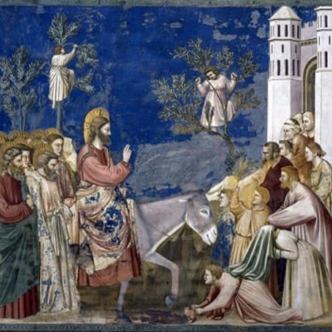 Omelia, 02 Aprile 2023, Domenica delle Palme episode artwork