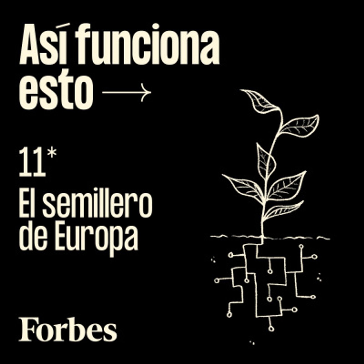 Así funciona esto