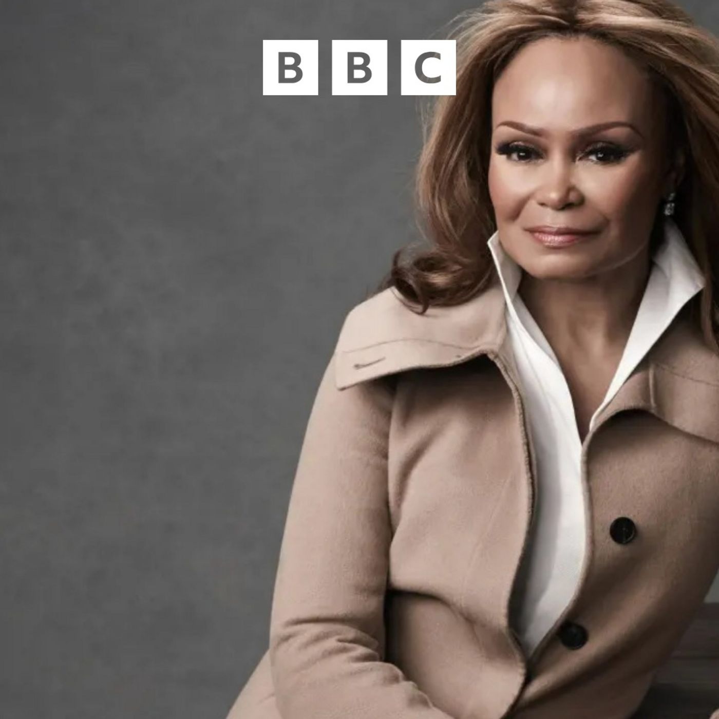 Meet the first black woman to own a billion-dollar company episode artwork