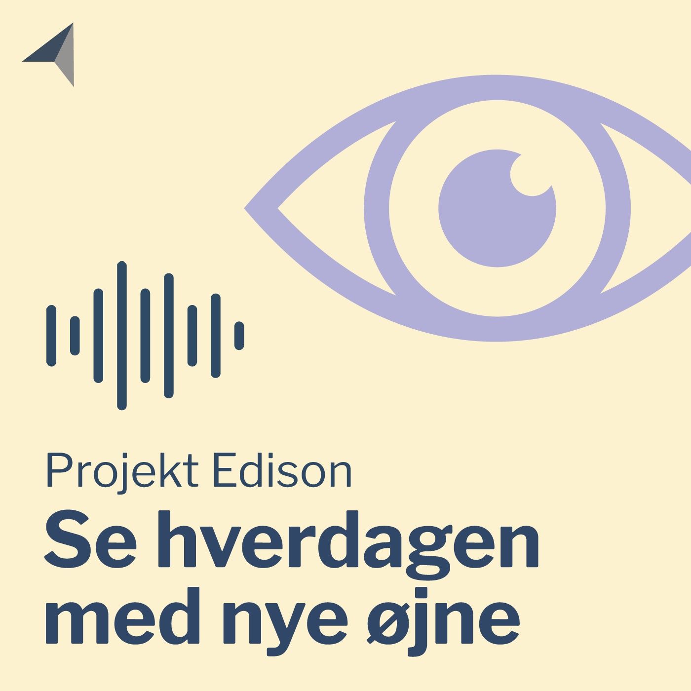 Projekt Edison - Se hverdagen med nye øjne af Fonden for Entreprenørskab