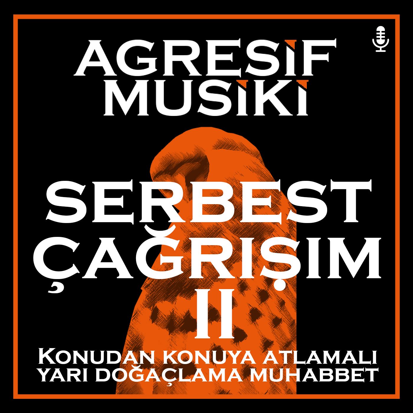 Agresif Musiki