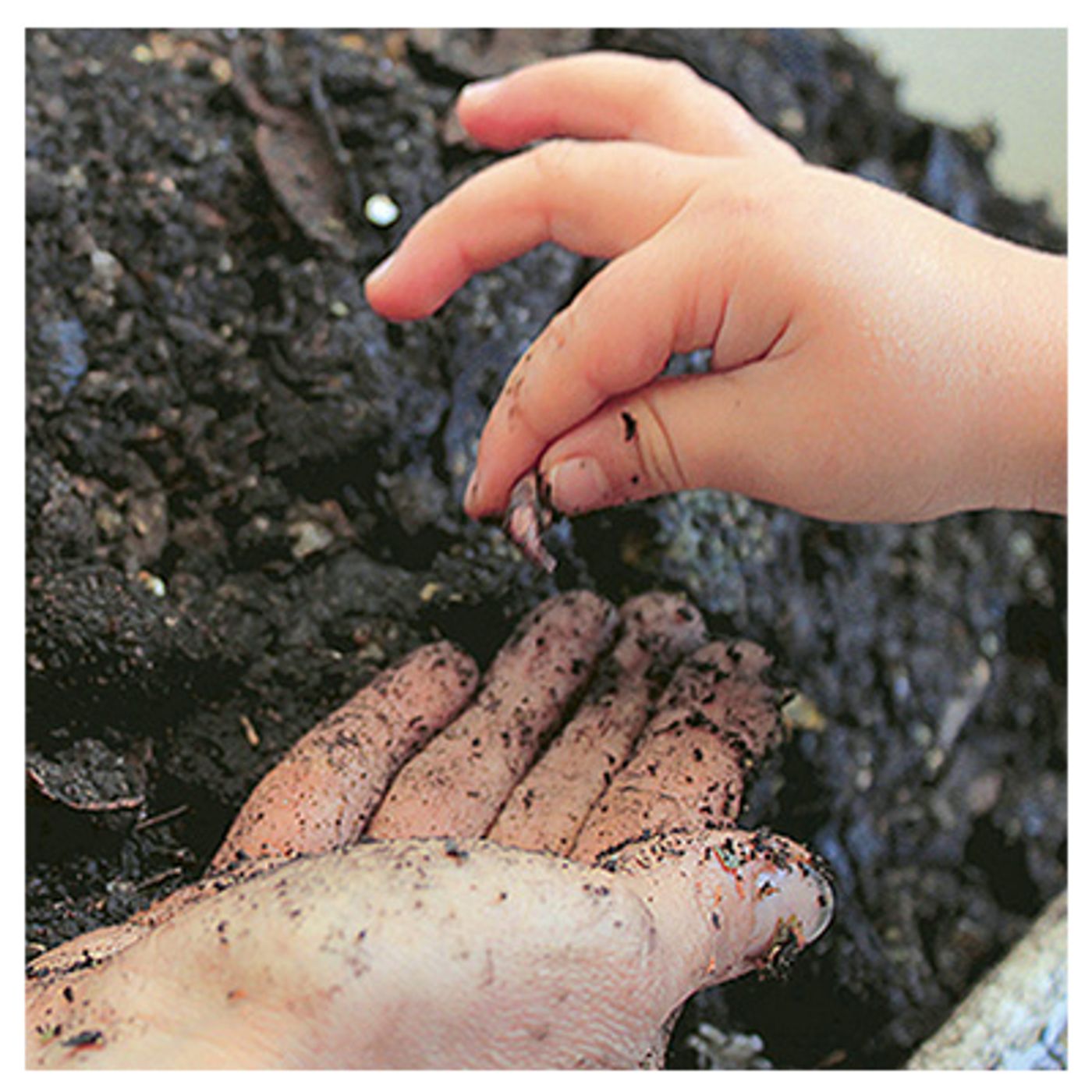Educación Ambiental