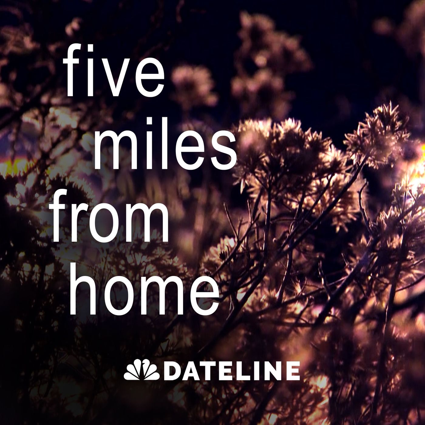 Dateline Presents: Five Miles From Home