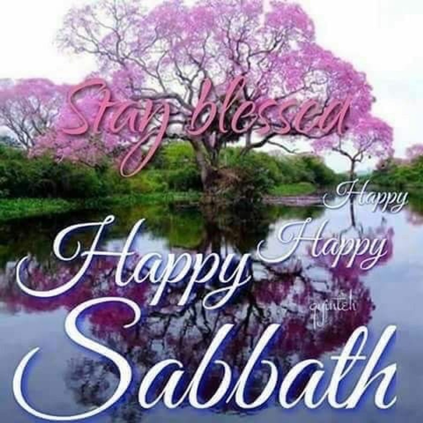 Sabbath Praise Hour