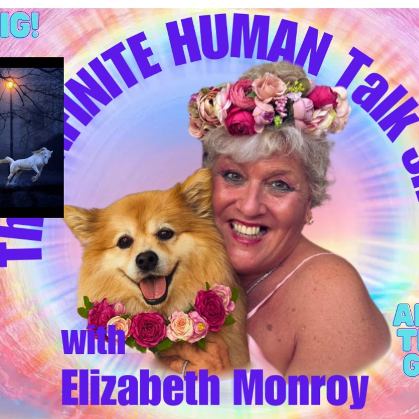 The Infinite Human Talk Show