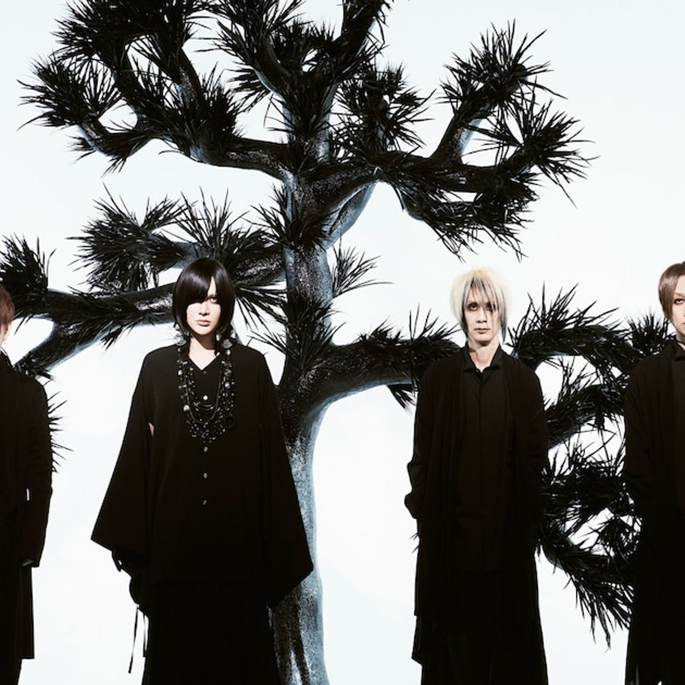 Plastic Treeビクター移籍後のMVをフルサイズで一挙公開、「静脈」含む全17曲（動画あり） - 音楽ナタリー episode artwork