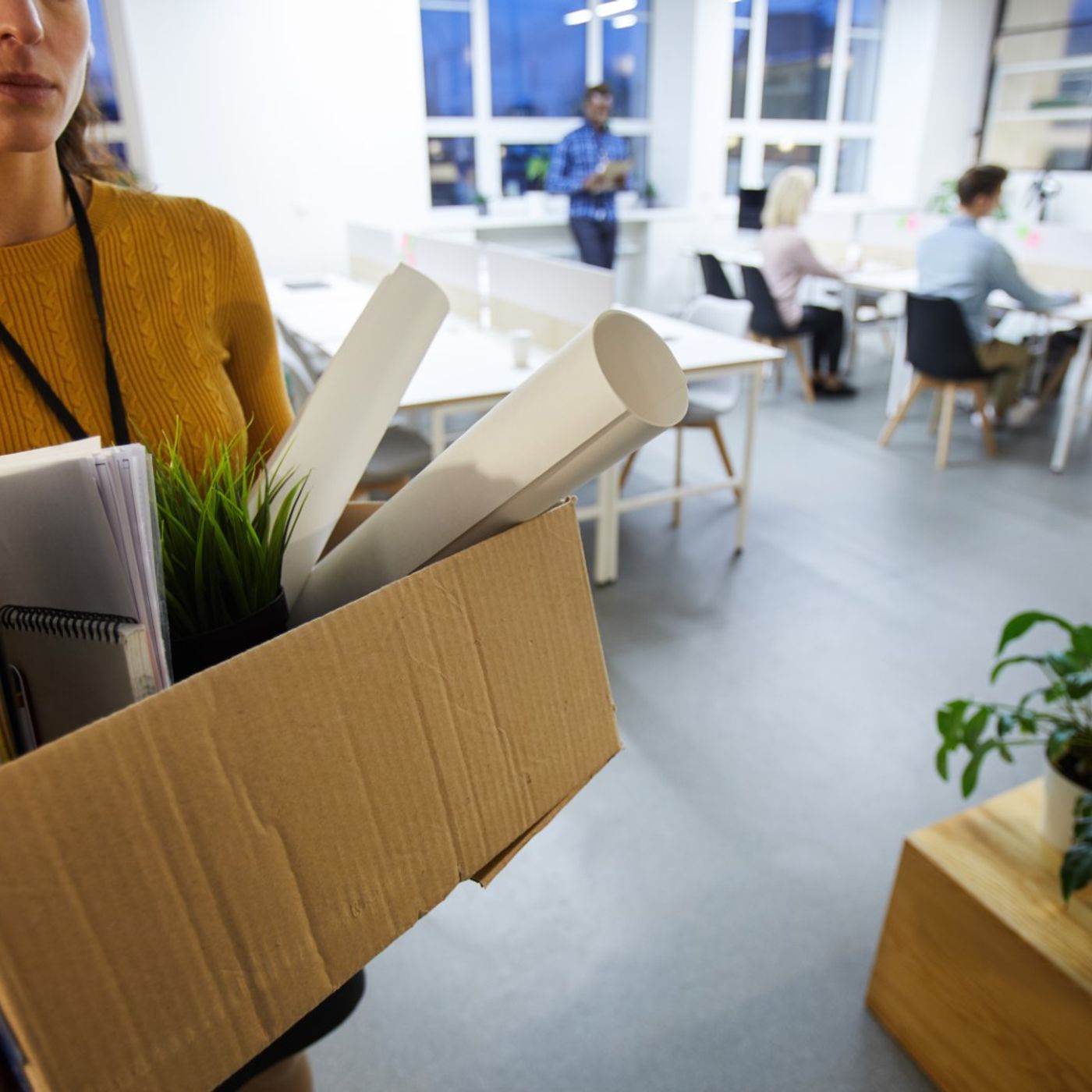 Acelerando Empresas