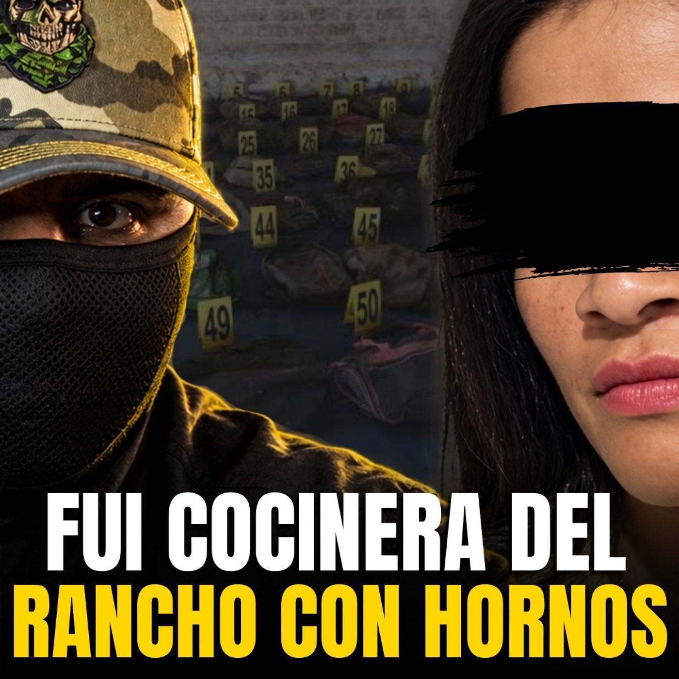 POR UNA PUBLICACION DE TRABAJO TERMINE RECLUTADA EN EL RANCHO | relato de la cocinera episode artwork