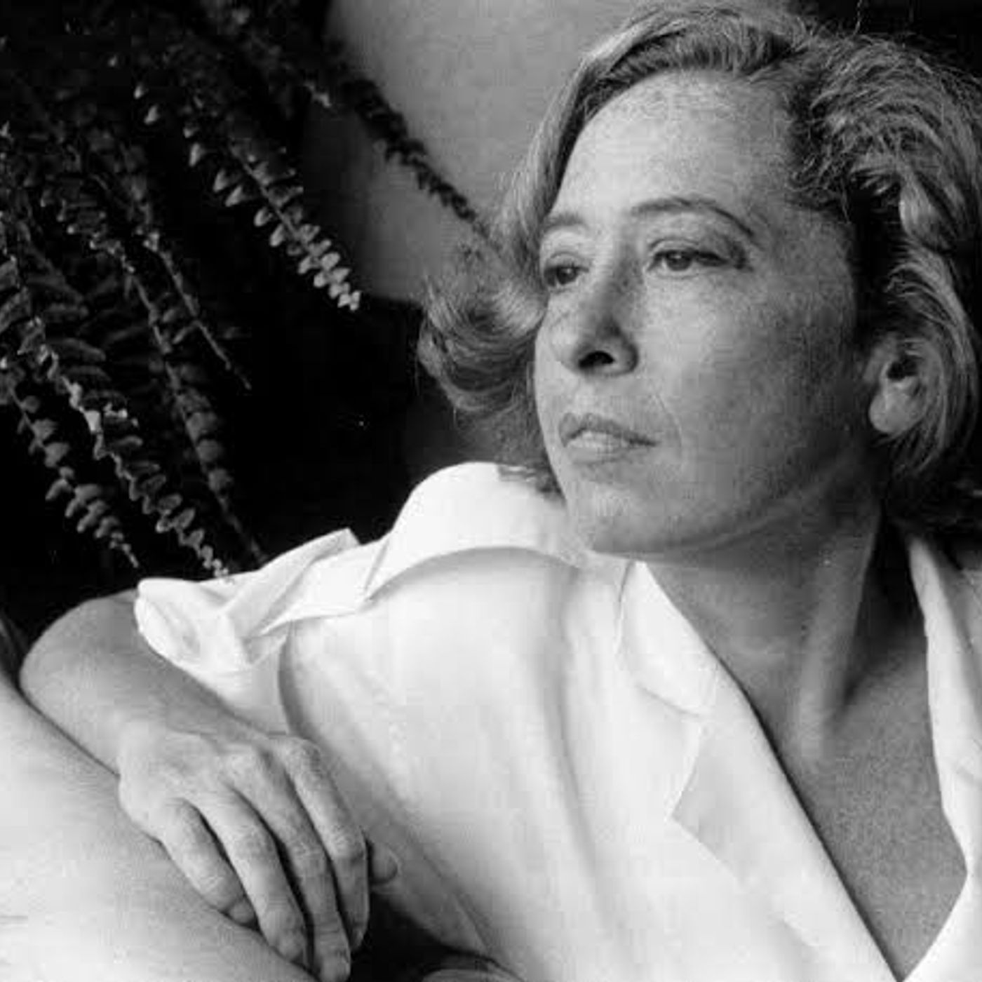 The Rodolfo Alvarez del Castillo Show