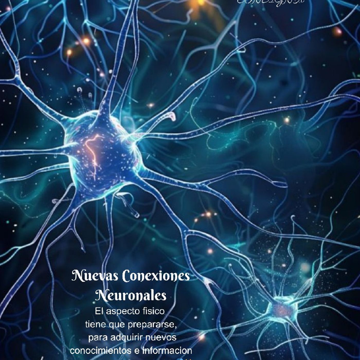Consigna Maktub 2096 Nuevas Conexiones Neuronales episode artwork
