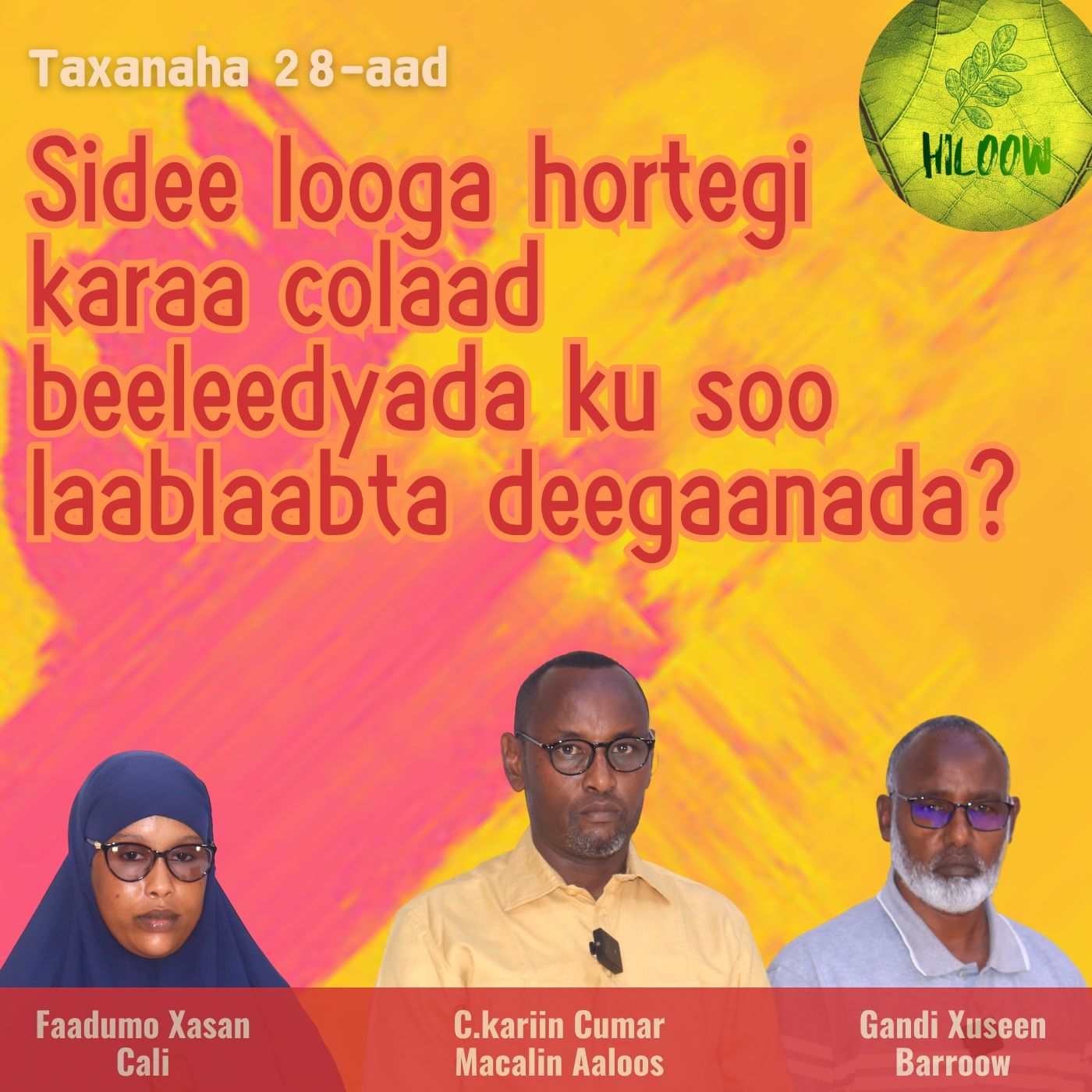 28. Sidee looga hortegi karaa colaad beeleedyada ku soo laablaabta deegaanada? episode artwork