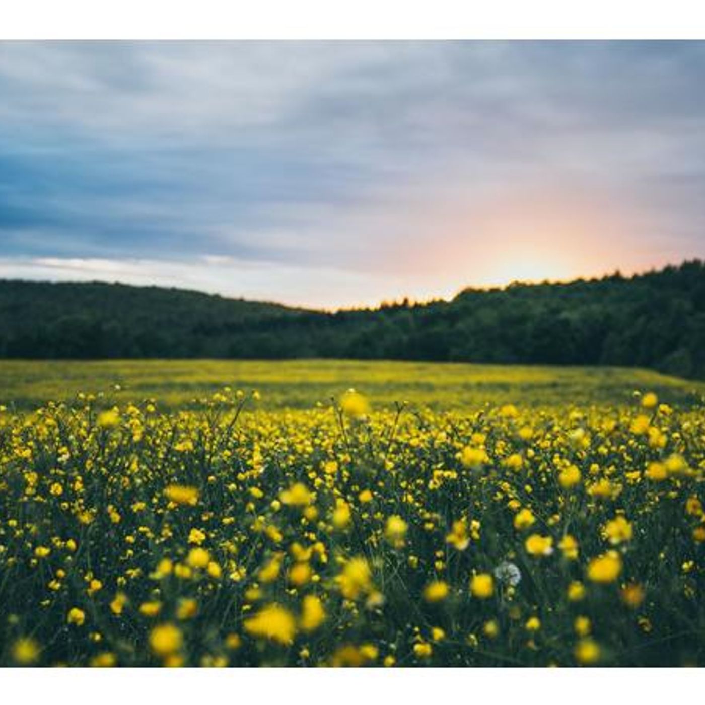 Urantia Paper 3—The Attributes of God—Pt 7: §1. God's Everywhereness episode artwork
