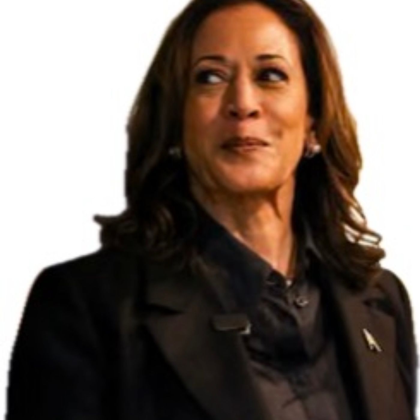 Kamala Harris & Guns