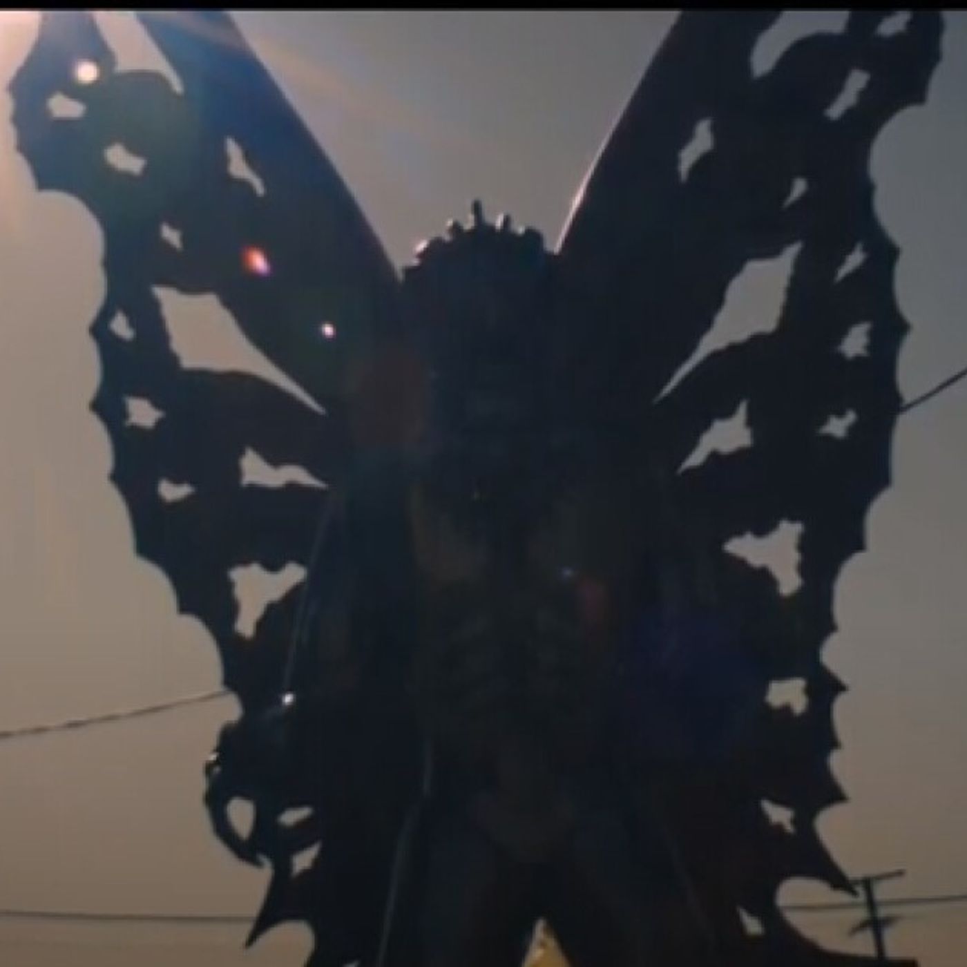 Historias de Miedo Octubre 7 de 2022 UN SER ALADO