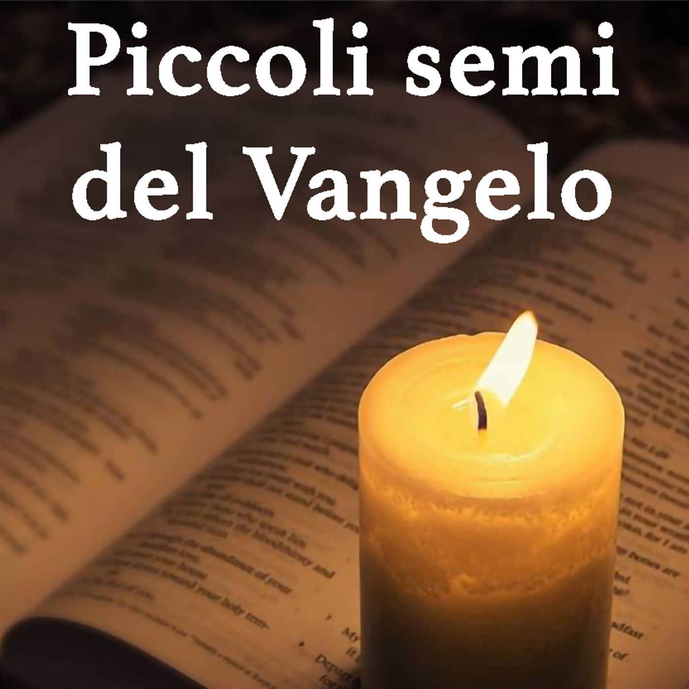 PICCOLI SEMI DEL VANGELO
