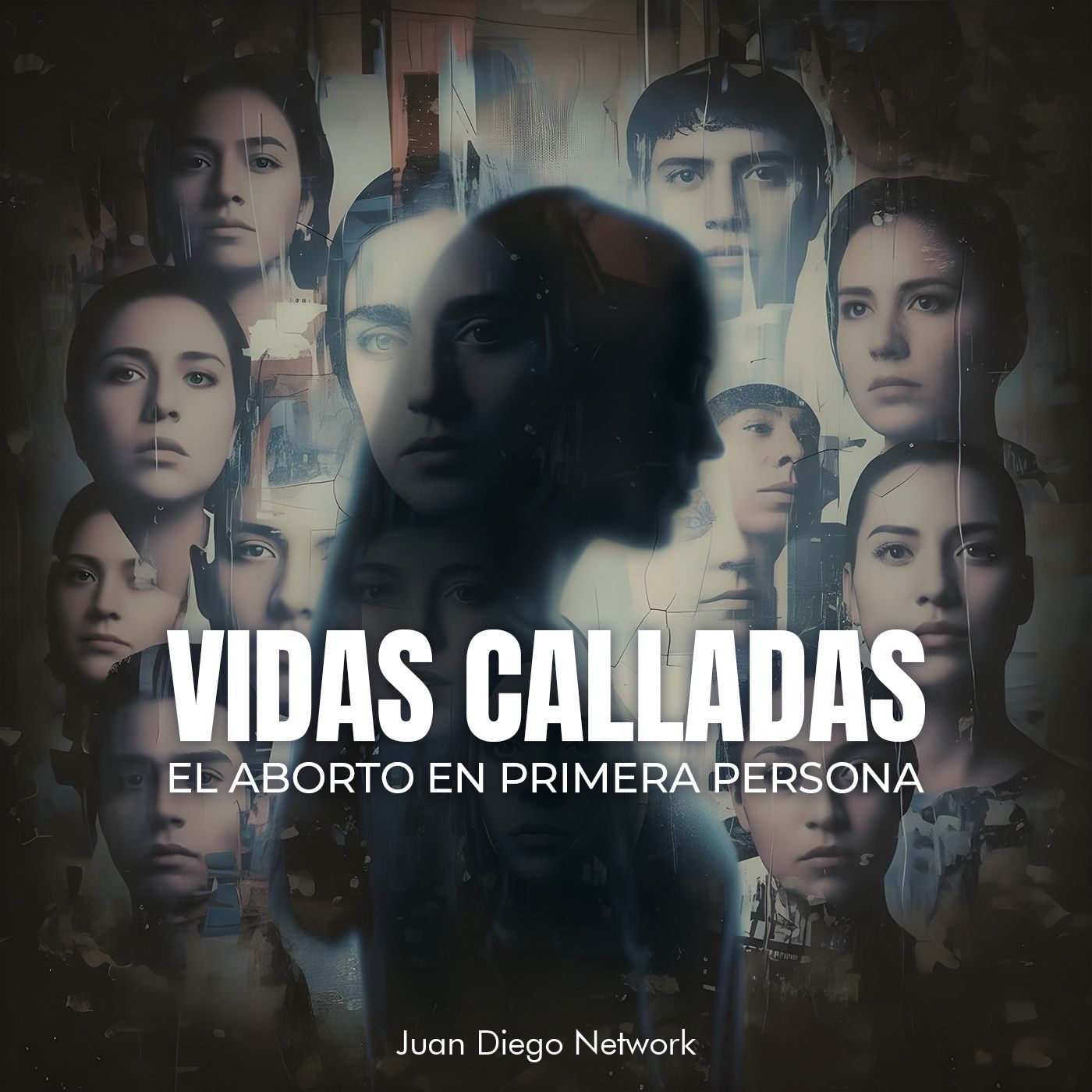Vidas calladas