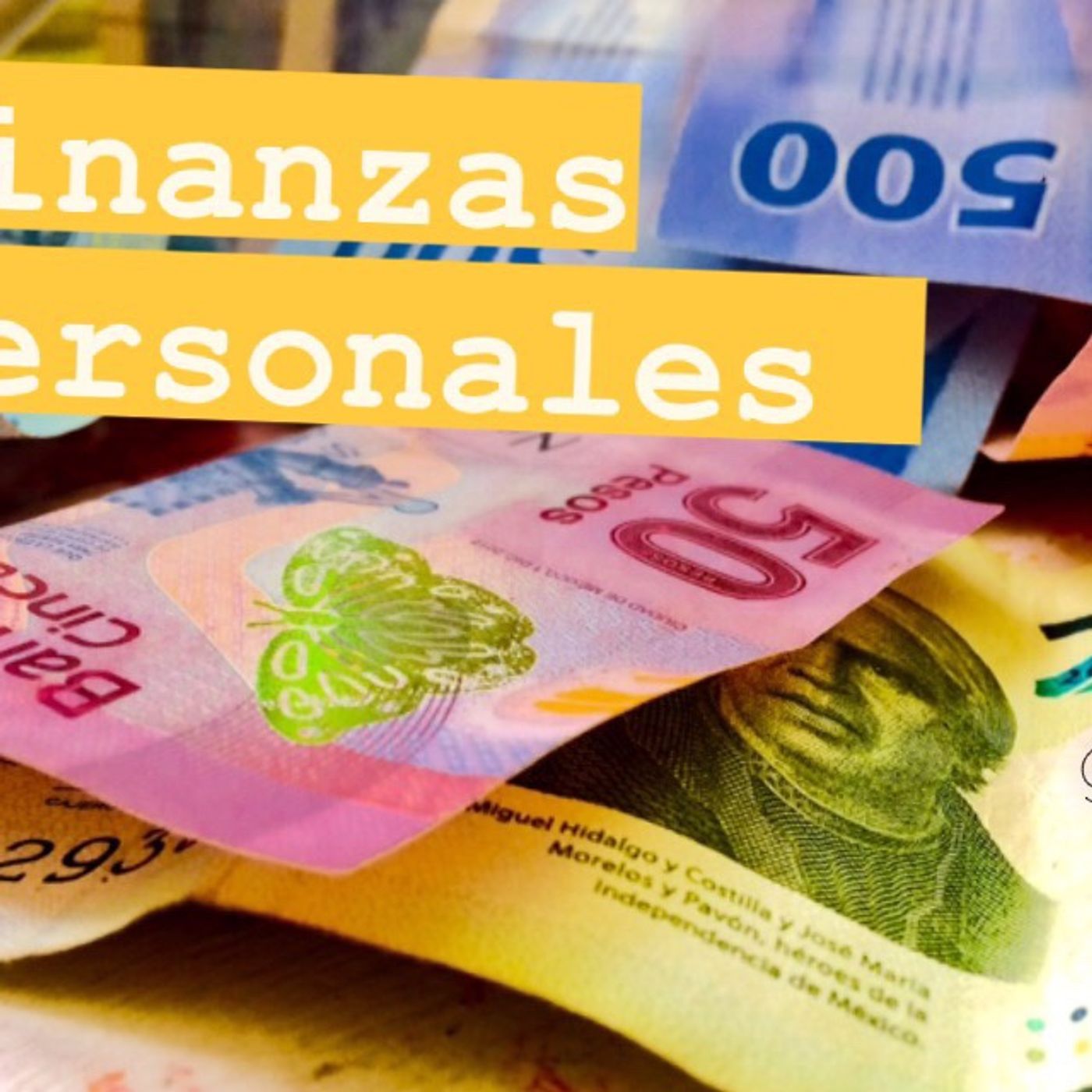 capítulo XIV Finanzas Personales Nivel: básico