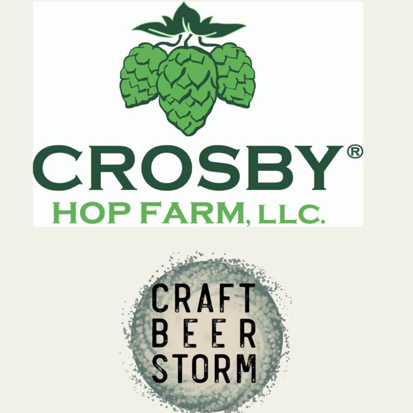 Craft Beer Storm