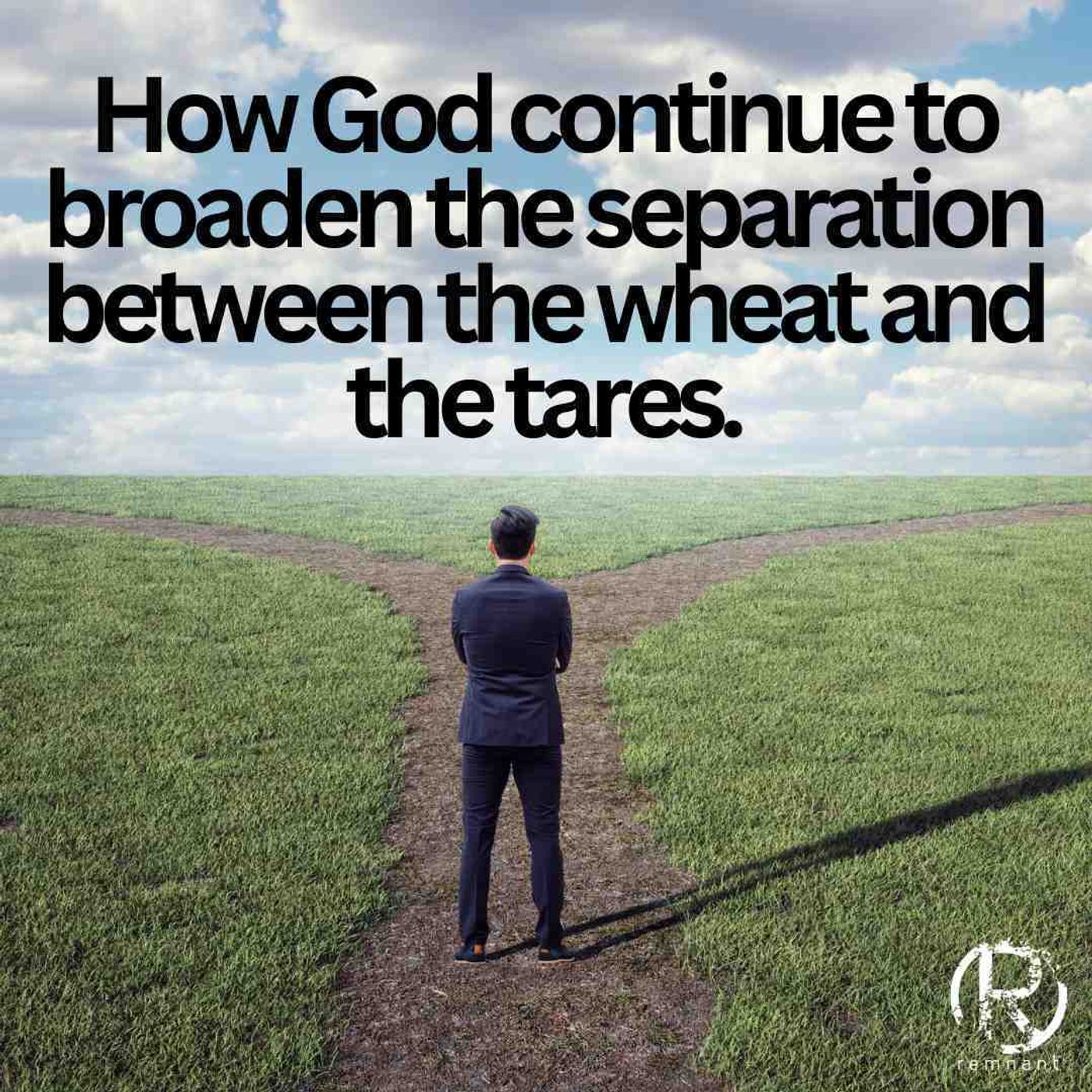 The Separation Of The Wheat & Tares Continues | The Todd Coconato Show episode artwork