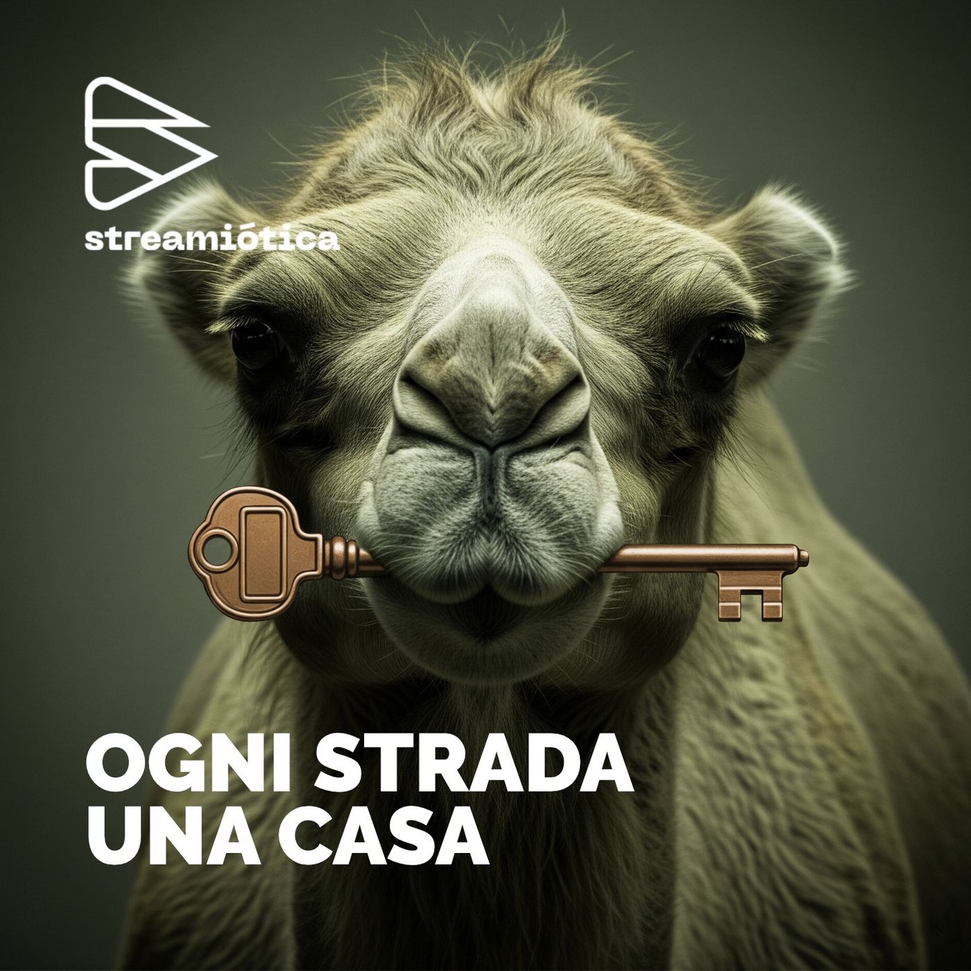 Ogni strada una casa