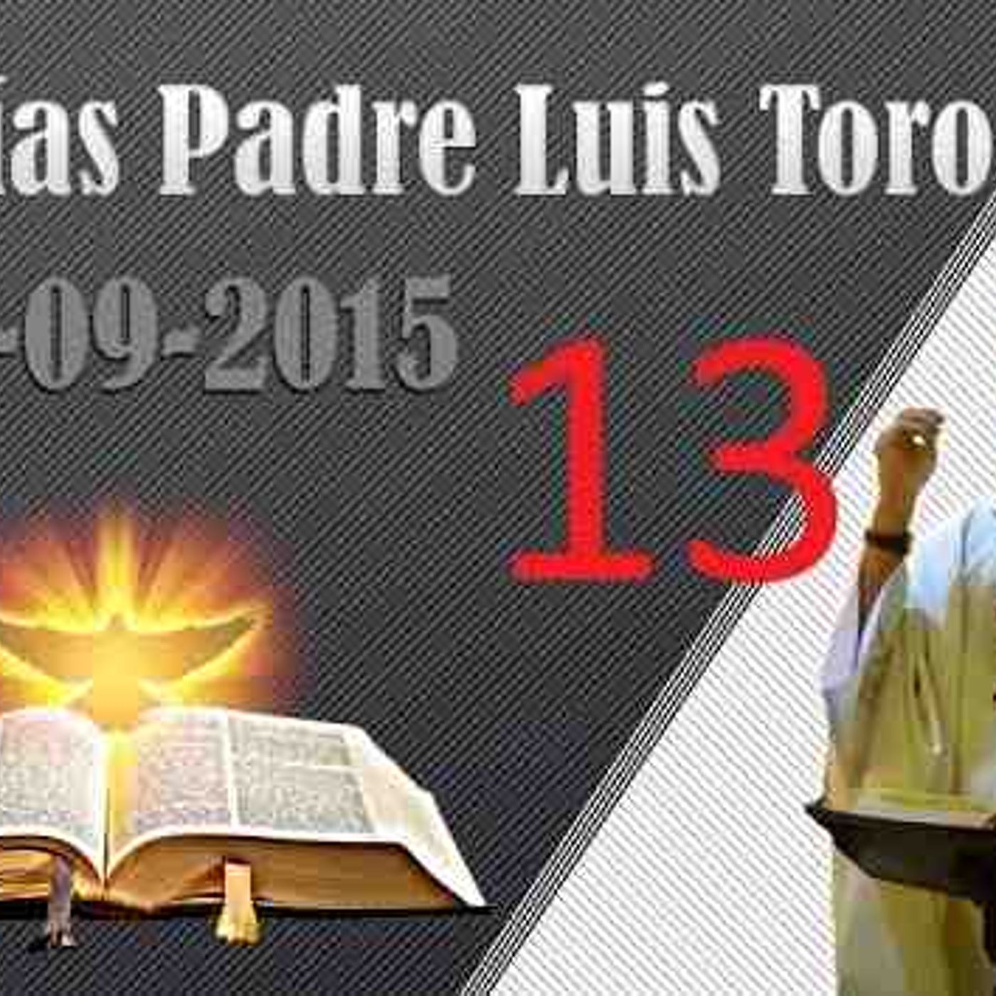 Homilía del 20-09-2015 - Padre Luis Toro(MP3_160K) episode artwork