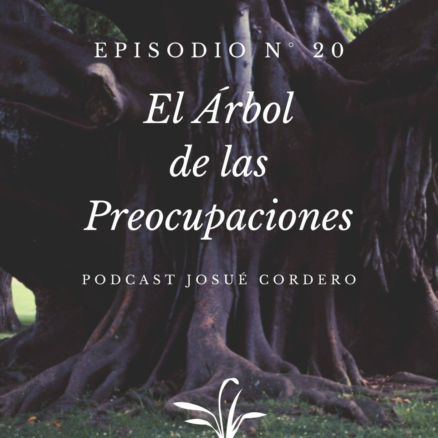Josue Cordero Reflexiones Para Crecer