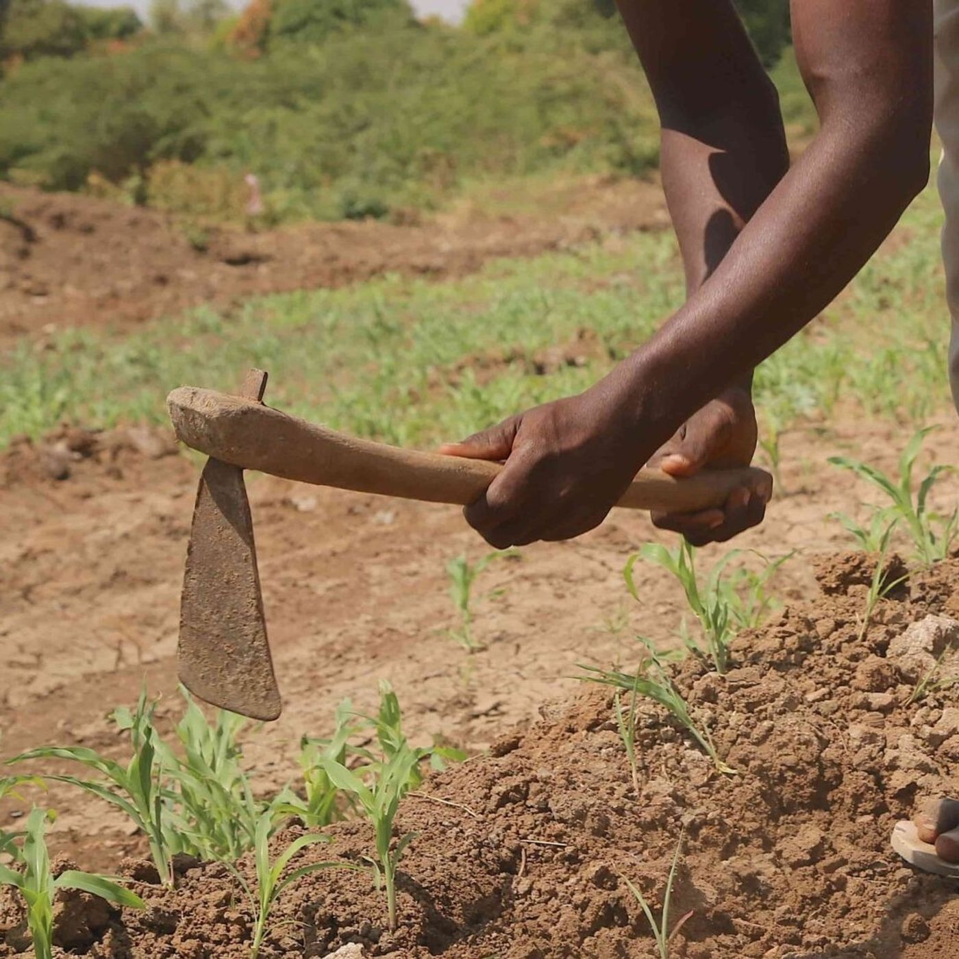 Studio Kalangou (français)